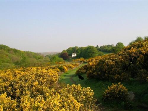 Lydgate House Hotel Postbridge Esterno foto