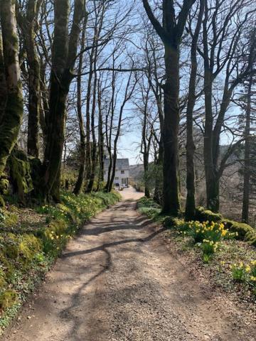 Lydgate House Hotel Postbridge Esterno foto