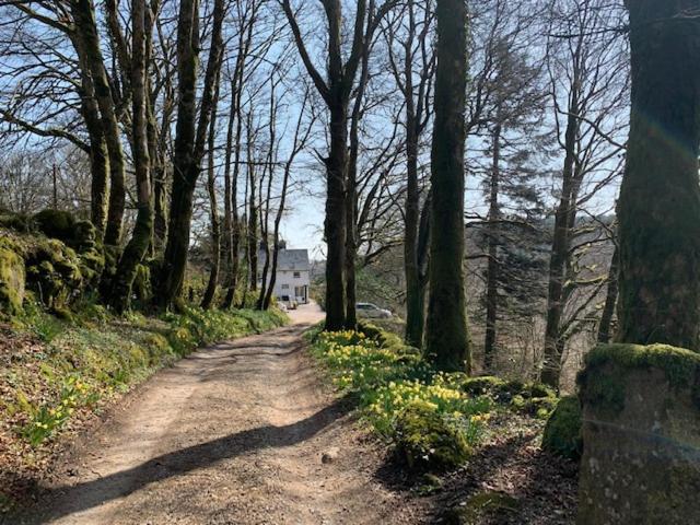 Lydgate House Hotel Postbridge Esterno foto